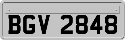 BGV2848