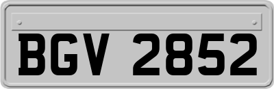 BGV2852