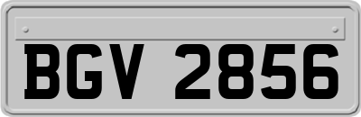BGV2856