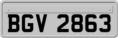 BGV2863