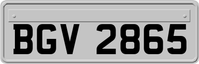 BGV2865