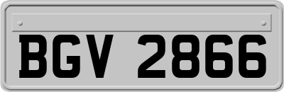 BGV2866