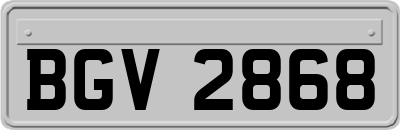 BGV2868
