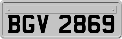 BGV2869