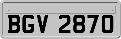 BGV2870