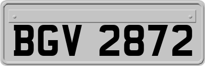 BGV2872