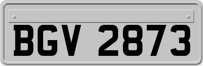 BGV2873