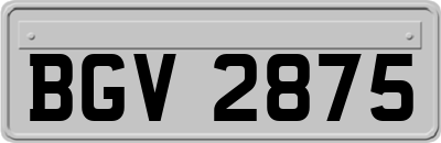 BGV2875