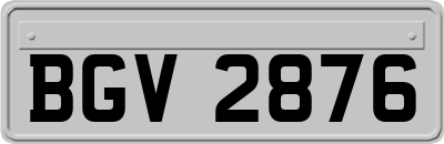 BGV2876