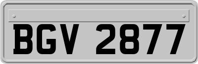 BGV2877