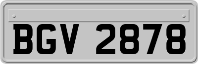 BGV2878