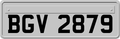 BGV2879