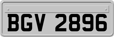 BGV2896
