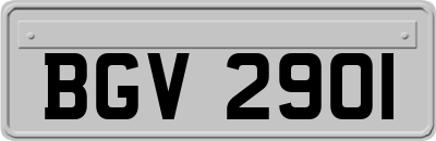BGV2901