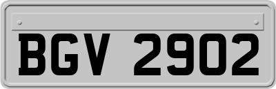 BGV2902