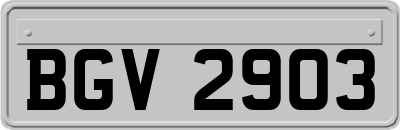 BGV2903