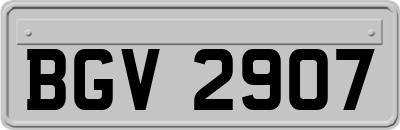 BGV2907