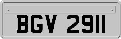 BGV2911