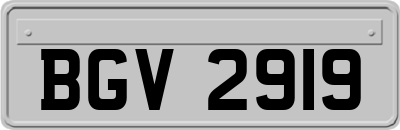 BGV2919