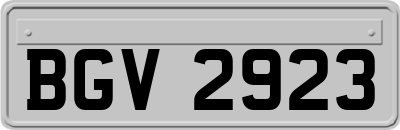 BGV2923