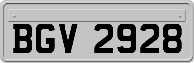 BGV2928