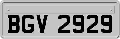 BGV2929
