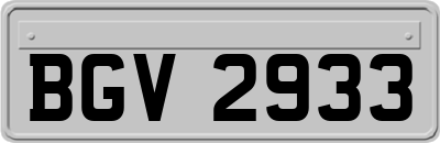 BGV2933