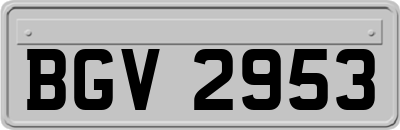 BGV2953