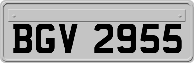 BGV2955
