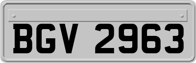 BGV2963