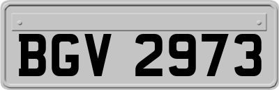 BGV2973