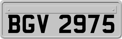 BGV2975