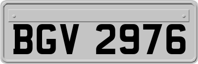 BGV2976