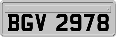 BGV2978