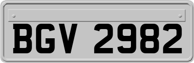 BGV2982
