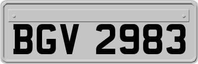 BGV2983