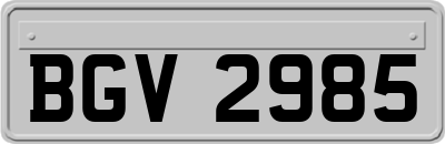 BGV2985