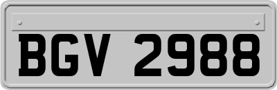 BGV2988