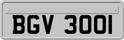 BGV3001
