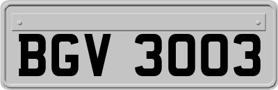 BGV3003