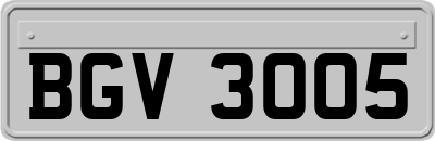 BGV3005
