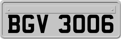 BGV3006