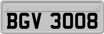 BGV3008