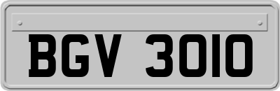BGV3010