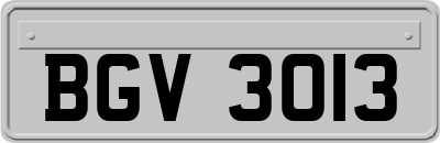 BGV3013