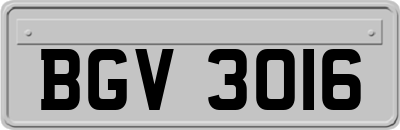 BGV3016
