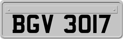 BGV3017