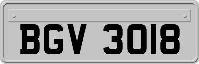 BGV3018