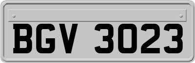 BGV3023