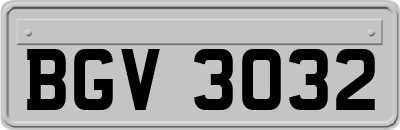 BGV3032